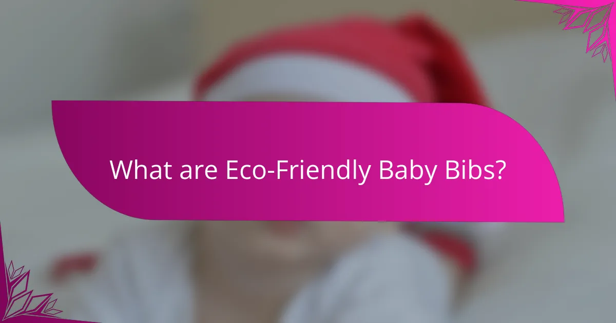 What are Eco-Friendly Baby Bibs?