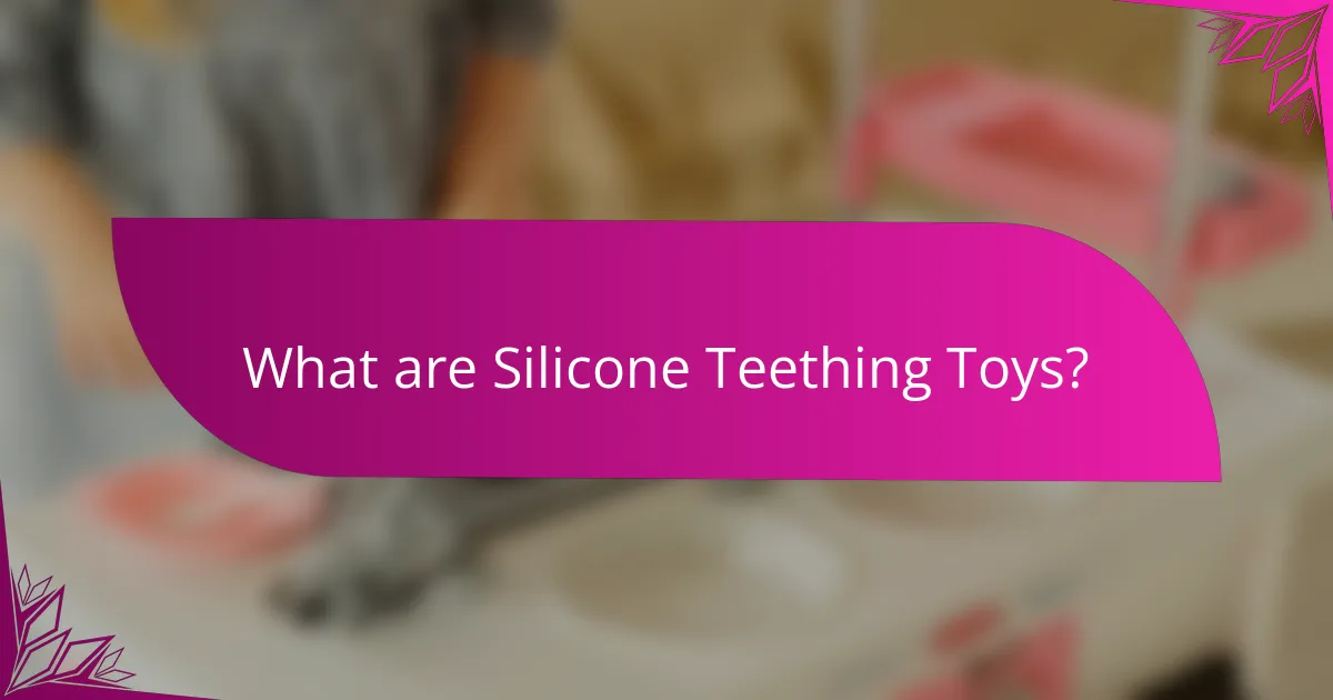 What are Silicone Teething Toys?