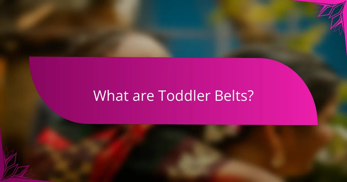 What are Toddler Belts?