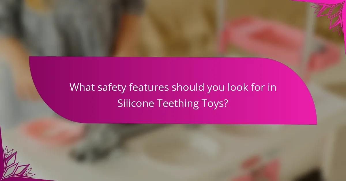 What safety features should you look for in Silicone Teething Toys?